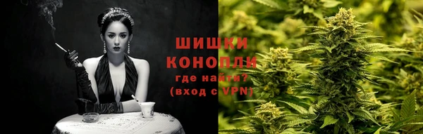 твердый Гусев