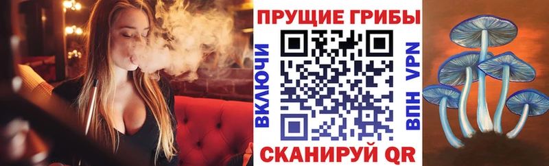hydra как войти  Уссурийск  Псилоцибиновые грибы мицелий  хочу  